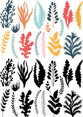 Wall Mural - seaweed set on white background, vector