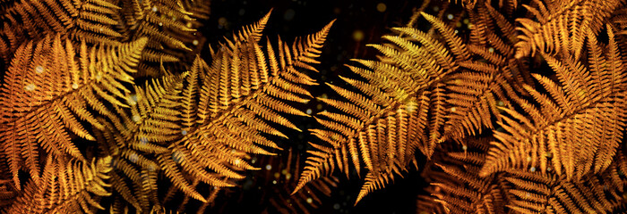 Wall Mural - banner background fern leaf on gold color background tropical leaves