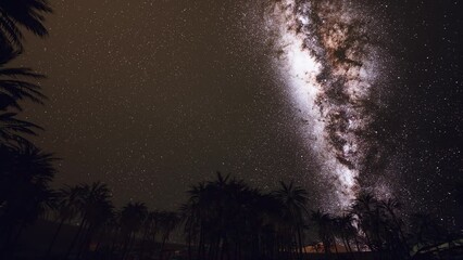 Starry night sky against with coconut palm trees