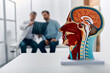© Peakstock - Human head anatomical model on doctor's table over background neurologist analyzing results of MRI scan of patient brain at medical clinic. Diseases of brain, nerves and nervous system