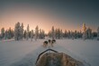 Husky safari activity at Lapland, Finland at sunset