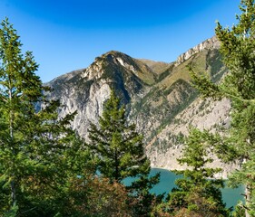 Sticker - Idyllic landscape of a pine forest and a large body of tranquil water in the background