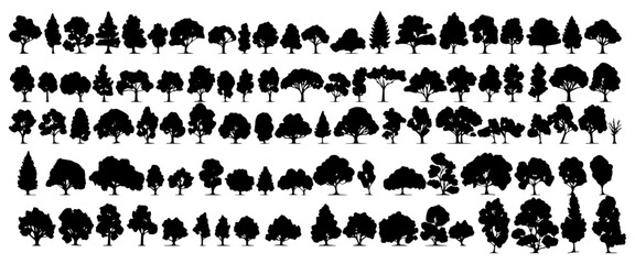 various deciduous trees silhouettes on the white background