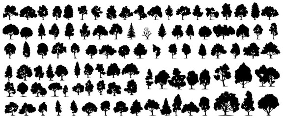 various deciduous trees silhouettes on the white background