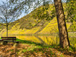A bench in Moselle riverside park under the tree shade in Valwig village during fall, Cochem-Zell  district, German