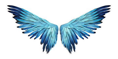 blue wings isolated on transparent background - generative ai