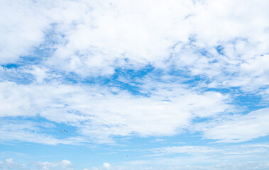 Wall Mural - Beautiful blue sky and white clouds abstract background. Cloudscape background. Blue sky and fluffy white clouds on sunny day with birds flying. Nature weather. Beautiful blue sky on a summer day.