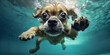 kleiner Hund springt ins Wasser und taucht unter, generative AI