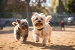 playful dog park adventures generative AI