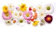 Beautiful Easter banner with spring flowers and colorful quail eggs over white background Generative AI