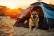 dog at camping in tent on beach, generative ai