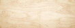 Light pine wood or plywood texture background