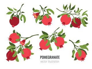 Isolated set of vector  hand drawn pomegranate branches. Fruit print. Sketch Exotic tropical juicy fruit, pomegranate with leaves and flowers. Vector cartoon simple style illustration. Doodle pattern