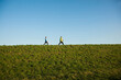 © Designpics - Man and Woman Nordic Walking Outdoors, Baden-Wurttemberg, Germany