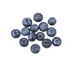  bilberry ,  blueberry     isolated    on  transparent png