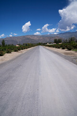 Wall Mural - View of the road across the vineyard. The Andes mountains in the background.