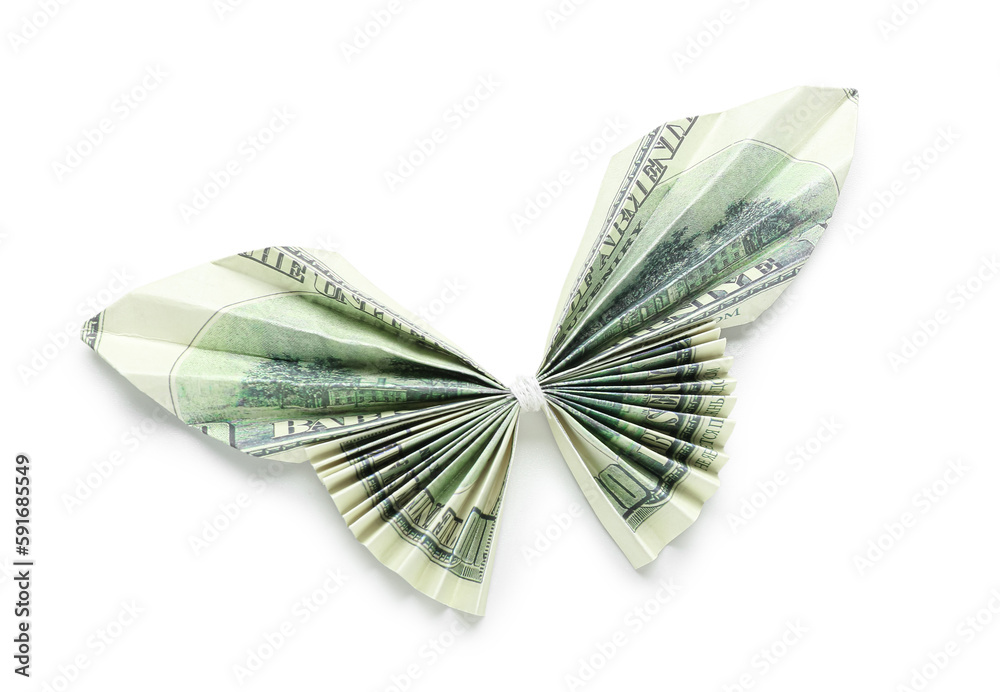 Origami butterfly made of dollar banknotes on white background