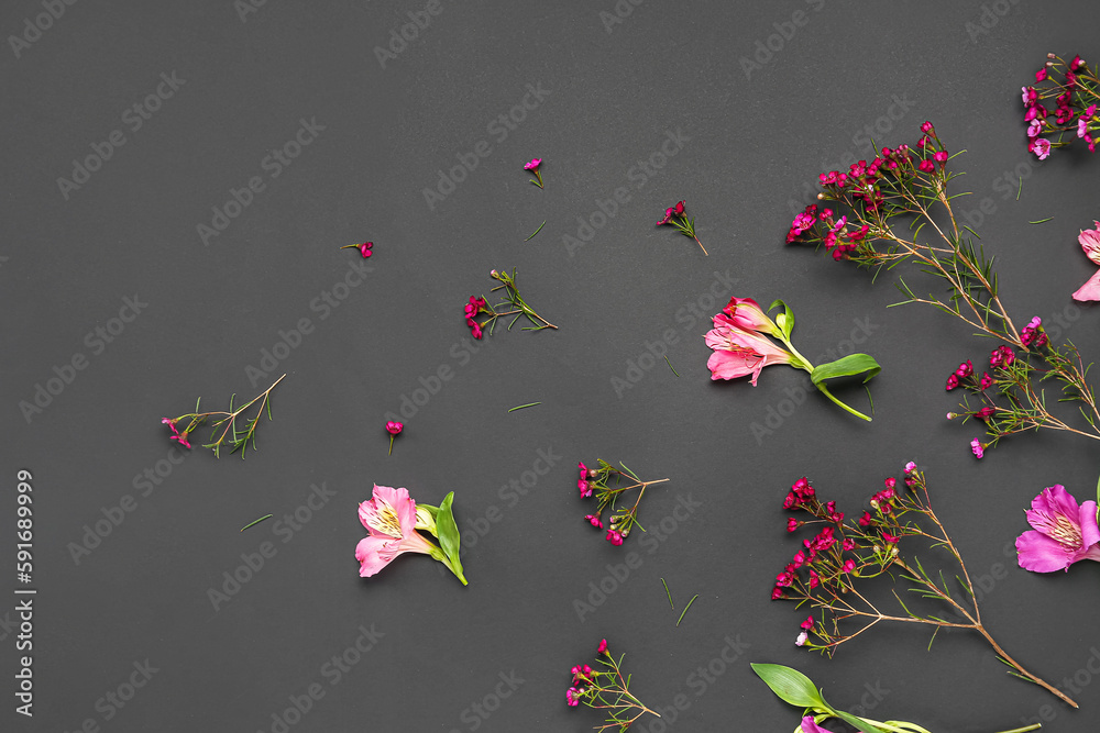 Beautiful pink flowers on black background