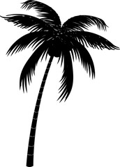 Palm tree