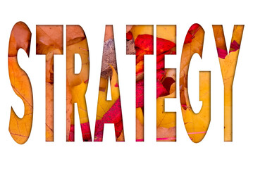 Poster - Autumn leaves, objects with Strategy text. Natural patterns, color design.