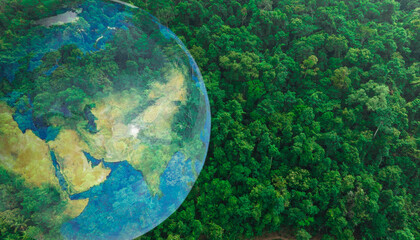 Wall Mural - Atmospheric aerial view of the green forest with the earth Demonstrate the concept of preserving the top ecosystem and natural environment and Save Earth.
