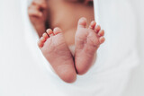 Fototapeta  - Newborn feet