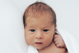 Fototapeta  - Newborn baby girl awake