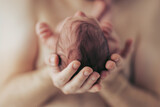 Fototapeta  - Father hands holding newborn