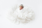Fototapeta  - Newborn baby girl in flower