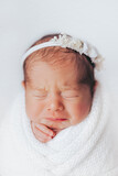 Fototapeta  - Newborn baby girl wrapped, in studio