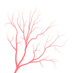 Wall Mural - Human eye blood veins vessels silhouettes vector illustration isolated on white background. Eyeballs red veins anatomical human blood vessel artery health system.