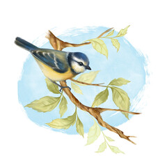beautiful illustration with hand drawn bird on green branch. spring illustration