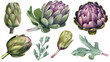 Set of illustrations of artichokes, garden plants, decorative design elements, watercolor illustrations isolated on white background usable for design stickers wallpapers Generative AI