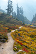 Bagley Lake hiking trail at Mount Baker in Autumn
