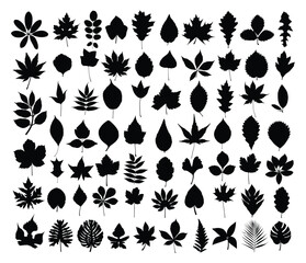 Sticker - A set of silhouettes leaves of trees and shrubs.
