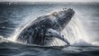 Aerial view of a majestic whale breaching in open ocean. Generative AI