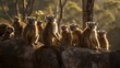 Group of lemurs sunbathing on a rock in the jungle. Generative AI