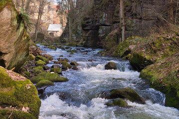 Wall Mural - Scenic view of a river flowing in the forest in Saxon Switzerland surrounded by dry nature