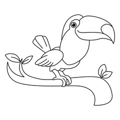 Cute toucan cartoon characters vector illustration. For kids coloring book.