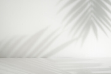 Poster - Palm leaf shadow overlay. Minimalist shadow overlay for product placement. Aesthetic perspective product display