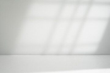 Poster - minimalist window shadow overlay background