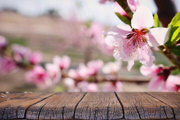 Wall Mural - wooden table in front of spring blossom tree landscape. Product display and presentation