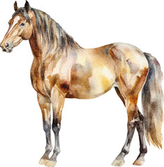 Aufkleber - Horse watercolour illustration created with Generative AI technology