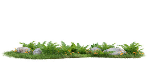 Poster - group of plant isolated on transparent background 3d rendering png