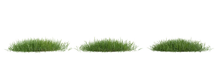 collection green grass on transparent background 3d rendering png..