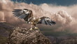 an eagle on a stone on clouds background