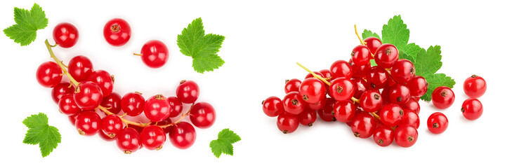 Wall Mural - Red currant berry isolated on white background. Top view. Flat lay pattern