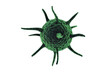 Digitally composite image of green coronavirus