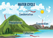 Water cycle diagram. Earth hydrologic process. Environmental circulation scheme with rain precipitation, cloud condensation, evaporation and runoff collection. Cycle water in nature environment