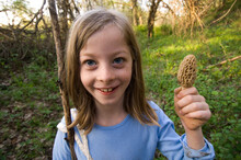 Young Girl Stands Holding A Morel Mushroom That She Found In A Forest Near Seward, Nebraska, USA; Nebraska, United States Of America